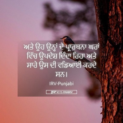 Picture 05 - ਲੂਕਾ 4:15 PANIRV - ਅਤੇ ਉਹ ਉਨ੍ਹਾਂ ਦੇ - Bible Verse Picture