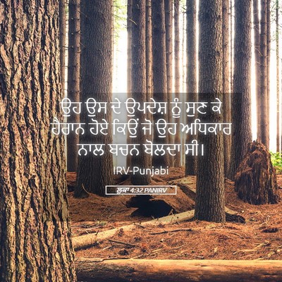 Picture 05 - ਲੂਕਾ 4:32 PANIRV - ਉਹ ਉਸ ਦੇ ਉਪਦੇਸ਼ ਨੂੰ - Bible Verse Picture