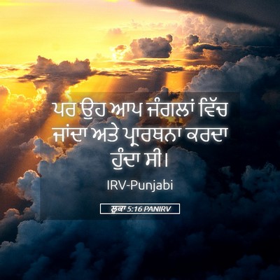 Picture 05 - ਲੂਕਾ 5:16 PANIRV - ਪਰ ਉਹ ਆਪ ਜੰਗਲਾਂ - Bible Verse Picture