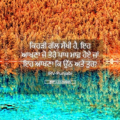 Picture 05 - ਲੂਕਾ 5:23 PANIRV - ਕਿਹੜੀ ਗੱਲ ਸੌਖੀ ਹੈ, - Bible Verse Picture