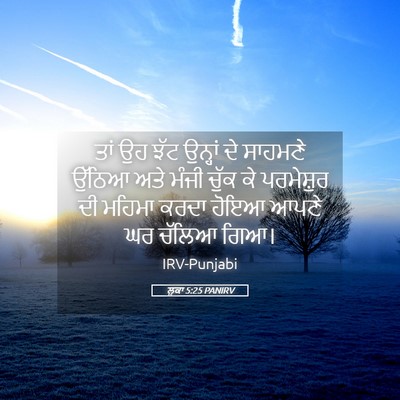Picture 05 - ਲੂਕਾ 5:25 PANIRV - ਤਾਂ ਉਹ ਝੱਟ ਉਨ੍ਹਾਂ - Bible Verse Picture