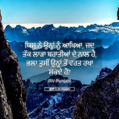 Picture 05 - ਲੂਕਾ 5:34 PANIRV - ਯਿਸੂ ਨੇ ਉਨ੍ਹਾਂ ਨੂੰ - Bible Verse Picture