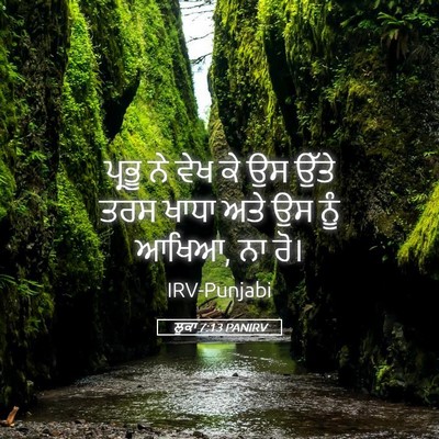 Picture 05 - ਲੂਕਾ 7:13 PANIRV - ਪ੍ਰਭੂ ਨੇ ਵੇਖ ਕੇ ਉਸ - Bible Verse Picture