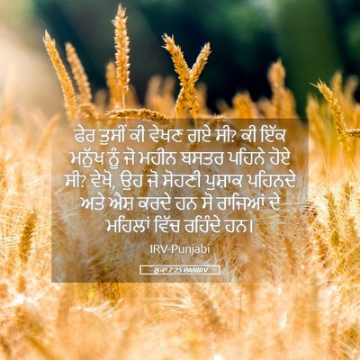 Picture 05 - ਲੂਕਾ 7:25 PANIRV - ਫੇਰ ਤੁਸੀਂ ਕੀ ਵੇਖਣ - Bible Verse Picture