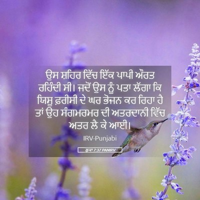 Picture 05 - ਲੂਕਾ 7:37 PANIRV - ਉਸ ਸ਼ਹਿਰ ਵਿੱਚ ਇੱਕ - Bible Verse Picture