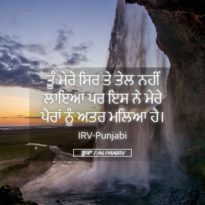 Picture 05 - ਲੂਕਾ 7:46 PANIRV - ਤੂੰ ਮੇਰੇ ਸਿਰ ਤੇ ਤੇਲ - Bible Verse Picture