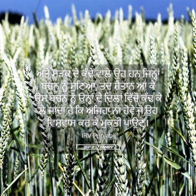 Picture 05 - ਲੂਕਾ 8:12 PANIRV - ਅਤੇ ਸੜਕ ਦੇ ਕੰਢੇ - Bible Verse Picture