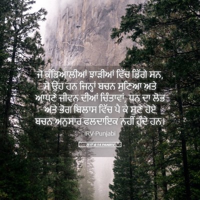 Picture 05 - ਲੂਕਾ 8:14 PANIRV - ਜੋ ਕੰਡਿਆਲੀਆਂ - Bible Verse Picture