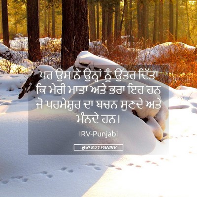 Picture 05 - ਲੂਕਾ 8:21 PANIRV - ਪਰ ਉਸ ਨੇ ਉਨ੍ਹਾਂ ਨੂੰ - Bible Verse Picture