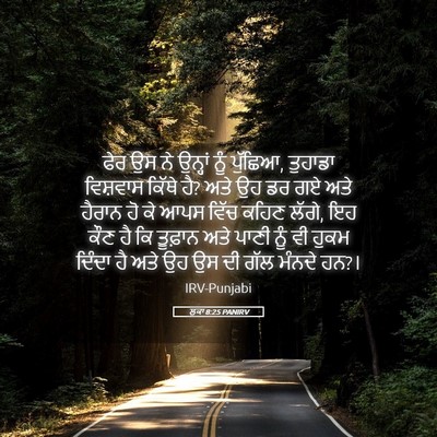 Picture 05 - ਲੂਕਾ 8:25 PANIRV - ਫੇਰ ਉਸ ਨੇ ਉਨ੍ਹਾਂ - Bible Verse Picture