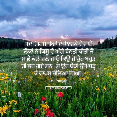 Picture 05 - ਲੂਕਾ 8:37 PANIRV - ਤਦ ਗਿਰਸੇਨੀਆਂ ਦੇ - Bible Verse Picture