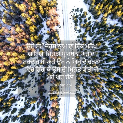 Picture 05 - ਲੂਕਾ 8:41 PANIRV - ਉਸੇ ਸਮੇਂ ਜੈਰੁਸ ਨਾਮ - Bible Verse Picture
