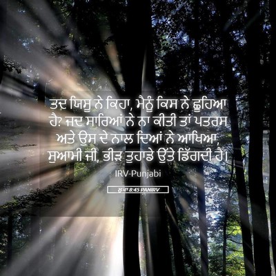 Picture 05 - ਲੂਕਾ 8:45 PANIRV - ਤਦ ਯਿਸੂ ਨੇ ਕਿਹਾ, - Bible Verse Picture