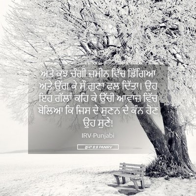 Picture 05 - ਲੂਕਾ 8:8 PANIRV - ਅਤੇ ਕੁਝ ਚੰਗੀ ਜ਼ਮੀਨ - Bible Verse Picture