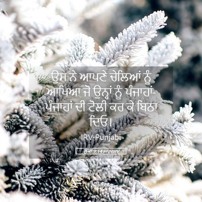 Picture 05 - ਲੂਕਾ 9:14 PANIRV - ਉਸ ਨੇ ਆਪਣੇ ਚੇਲਿਆਂ - Bible Verse Picture
