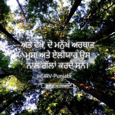 Picture 05 - ਲੂਕਾ 9:30 PANIRV - ਅਤੇ ਵੇਖੋ, ਦੋ ਮਨੁੱਖ - Bible Verse Picture