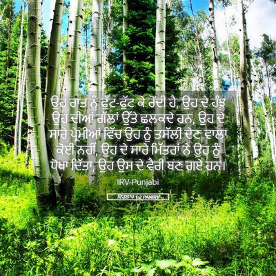 Picture 05 - ਵਿਰਲਾਪ 1:2 PANIRV - ਉਹ ਰਾਤ ਨੂੰ - Bible Verse Picture