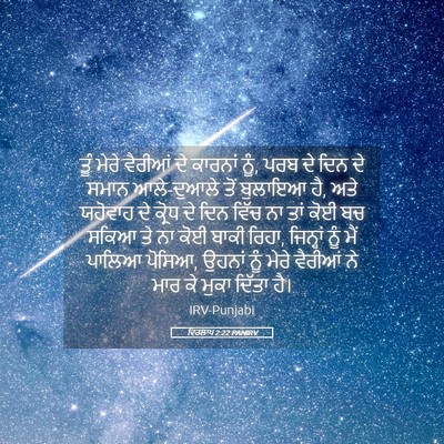 Picture 05 - ਵਿਰਲਾਪ 2:22 PANIRV - ਤੂੰ ਮੇਰੇ ਵੈਰੀਆਂ ਦੇ - Bible Verse Picture