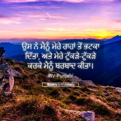 Picture 05 - ਵਿਰਲਾਪ 3:11 PANIRV - ਉਸ ਨੇ ਮੈਨੂੰ ਮੇਰੇ - Bible Verse Picture