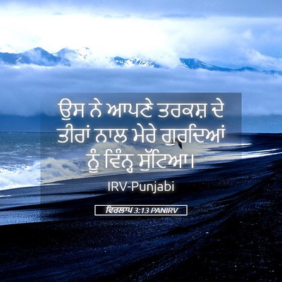 Picture 05 - ਵਿਰਲਾਪ 3:13 PANIRV - ਉਸ ਨੇ ਆਪਣੇ ਤਰਕਸ਼ ਦੇ - Bible Verse Picture