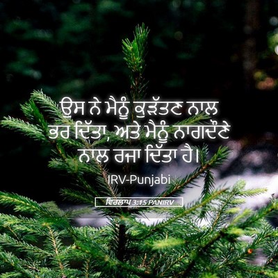 Picture 05 - ਵਿਰਲਾਪ 3:15 PANIRV - ਉਸ ਨੇ ਮੈਨੂੰ ਕੁੜੱਤਣ - Bible Verse Picture