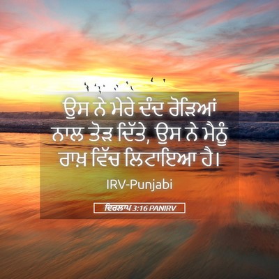 Picture 05 - ਵਿਰਲਾਪ 3:16 PANIRV - ਉਸ ਨੇ ਮੇਰੇ ਦੰਦ - Bible Verse Picture