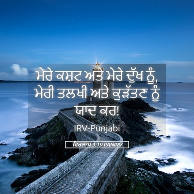 Picture 05 - ਵਿਰਲਾਪ 3:19 PANIRV - ਮੇਰੇ ਕਸ਼ਟ ਅਤੇ ਮੇਰੇ - Bible Verse Picture
