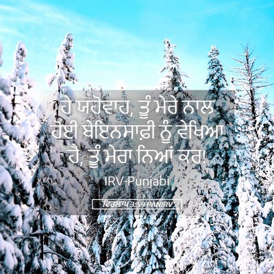Picture 05 - ਵਿਰਲਾਪ 3:59 PANIRV - ਹੇ ਯਹੋਵਾਹ, ਤੂੰ ਮੇਰੇ - Bible Verse Picture