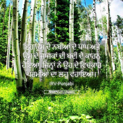 Picture 05 - ਵਿਰਲਾਪ 4:13 PANIRV - ਇਹ ਉਸ ਦੇ ਨਬੀਆਂ ਦੇ - Bible Verse Picture