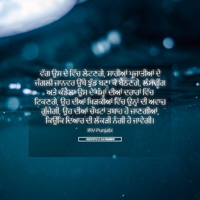 Picture 05 - ਸਫ਼ਨਯਾਹ 2:14 PANIRV - ਵੱਗ ਉਸ ਦੇ ਵਿੱਚ - Bible Verse Picture