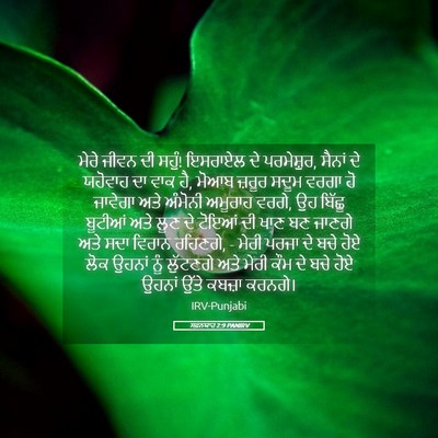 Picture 05 - ਸਫ਼ਨਯਾਹ 2:9 PANIRV - ਮੇਰੇ ਜੀਵਨ ਦੀ ਸਹੁੰ! - Bible Verse Picture