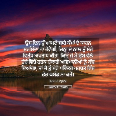 Picture 05 - ਸਫ਼ਨਯਾਹ 3:11 PANIRV - ਉਸ ਦਿਨ ਤੂੰ ਆਪਣੇ - Bible Verse Picture