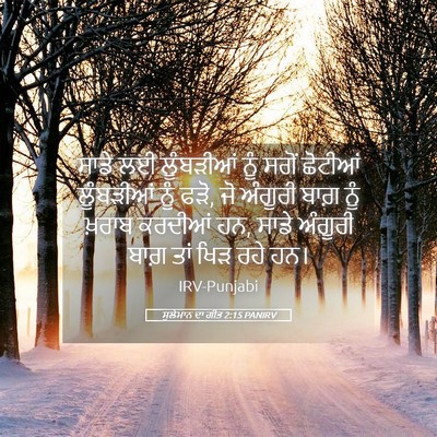 Picture 05 - ਸੁਲੇਮਾਨ ਦਾ ਗੀਤ 2:15 PANIRV - ਸਾਡੇ ਲਈ ਲੂੰਬੜੀਆਂ - Bible Verse Picture