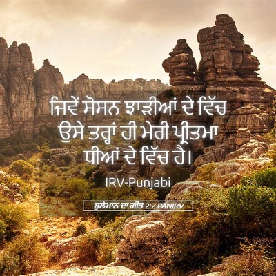 Picture 05 - ਸੁਲੇਮਾਨ ਦਾ ਗੀਤ 2:2 PANIRV - ਜਿਵੇਂ ਸੋਸਨ ਝਾੜੀਆਂ - Bible Verse Picture
