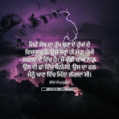 Picture 05 - ਸੁਲੇਮਾਨ ਦਾ ਗੀਤ 2:3 PANIRV - ਜਿਵੇਂ ਸੇਬ ਦਾ ਰੁੱਖ - Bible Verse Picture