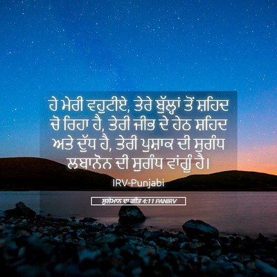 Picture 05 - ਸੁਲੇਮਾਨ ਦਾ ਗੀਤ 4:11 PANIRV - ਹੇ ਮੇਰੀ ਵਹੁਟੀਏ, - Bible Verse Picture