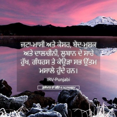 Picture 05 - ਸੁਲੇਮਾਨ ਦਾ ਗੀਤ 4:14 PANIRV - ਜਟਾ-ਮਾਸੀ ਅਤੇ ਕੇਸਰ, - Bible Verse Picture