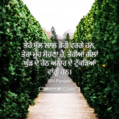 Picture 05 - ਸੁਲੇਮਾਨ ਦਾ ਗੀਤ 4:3 PANIRV - ਤੇਰੇ ਬੁੱਲ ਲਾਲ ਡੋਰੀ - Bible Verse Picture