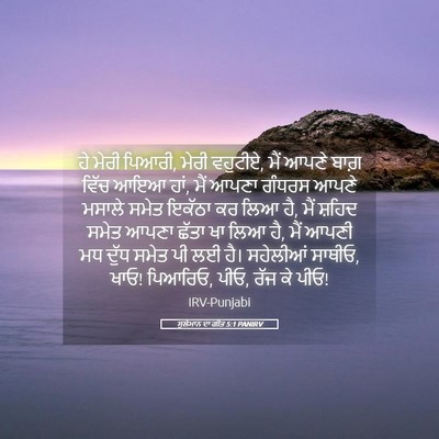 Picture 05 - ਸੁਲੇਮਾਨ ਦਾ ਗੀਤ 5:1 PANIRV - ਹੇ ਮੇਰੀ ਪਿਆਰੀ, ਮੇਰੀ - Bible Verse Picture