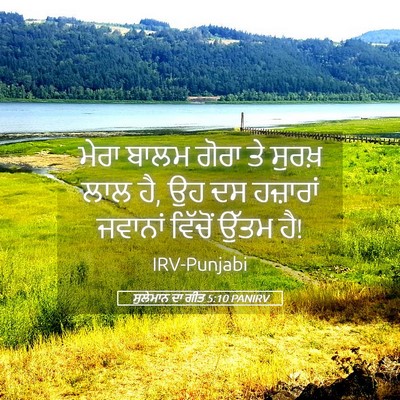 Picture 05 - ਸੁਲੇਮਾਨ ਦਾ ਗੀਤ 5:10 PANIRV - ਮੇਰਾ ਬਾਲਮ ਗੋਰਾ ਤੇ - Bible Verse Picture