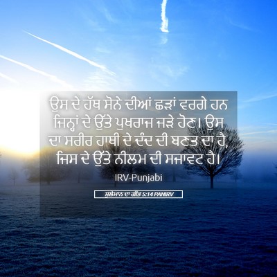 Picture 05 - ਸੁਲੇਮਾਨ ਦਾ ਗੀਤ 5:14 PANIRV - ਉਸ ਦੇ ਹੱਥ ਸੋਨੇ ਦੀਆਂ - Bible Verse Picture
