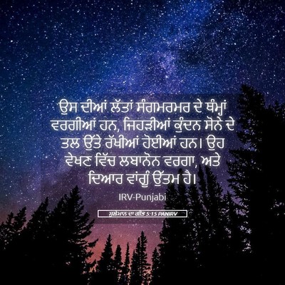 Picture 05 - ਸੁਲੇਮਾਨ ਦਾ ਗੀਤ 5:15 PANIRV - ਉਸ ਦੀਆਂ ਲੱਤਾਂ - Bible Verse Picture