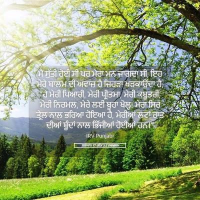 Picture 05 - ਸੁਲੇਮਾਨ ਦਾ ਗੀਤ 5:2 PANIRV - ਮੈਂ ਸੁੱਤੀ ਹੋਈ ਸੀ ਪਰ - Bible Verse Picture