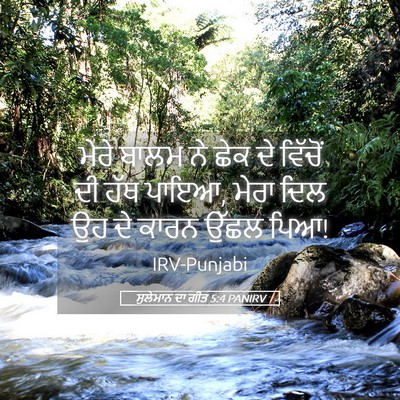 Picture 05 - ਸੁਲੇਮਾਨ ਦਾ ਗੀਤ 5:4 PANIRV - ਮੇਰੇ ਬਾਲਮ ਨੇ ਛੇਕ ਦੇ - Bible Verse Picture