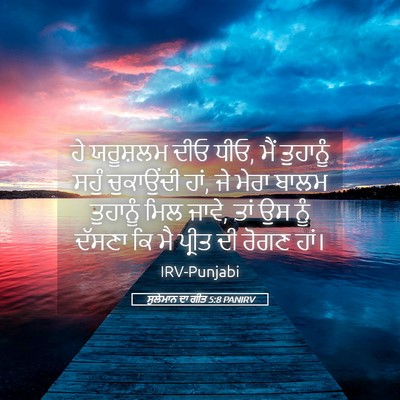 Picture 05 - ਸੁਲੇਮਾਨ ਦਾ ਗੀਤ 5:8 PANIRV - ਹੇ ਯਰੂਸ਼ਲਮ ਦੀਓ ਧੀਓ, - Bible Verse Picture