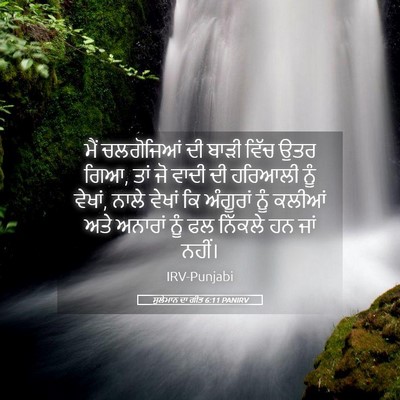 Picture 05 - ਸੁਲੇਮਾਨ ਦਾ ਗੀਤ 6:11 PANIRV - ਮੈਂ ਚਲਗੋਜਿਆਂ ਦੀ - Bible Verse Picture