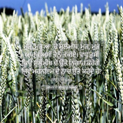 Picture 05 - ਸੁਲੇਮਾਨ ਦਾ ਗੀਤ 6:13 PANIRV - ਮੁੜ, ਮੁੜ ਆ, ਹੇ - Bible Verse Picture