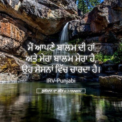 Picture 05 - ਸੁਲੇਮਾਨ ਦਾ ਗੀਤ 6:3 PANIRV - ਮੈਂ ਆਪਣੇ ਬਾਲਮ ਦੀ - Bible Verse Picture