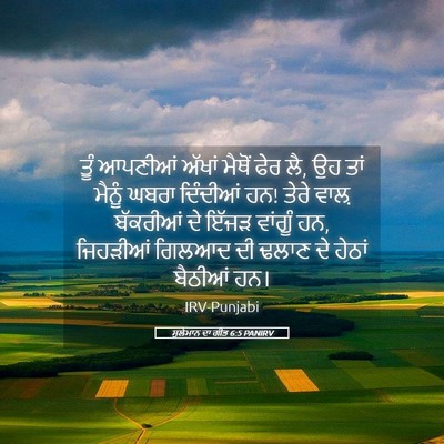 Picture 05 - ਸੁਲੇਮਾਨ ਦਾ ਗੀਤ 6:5 PANIRV - ਤੂੰ ਆਪਣੀਆਂ ਅੱਖਾਂ - Bible Verse Picture