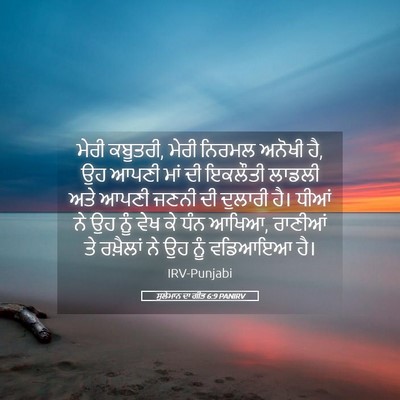 Picture 05 - ਸੁਲੇਮਾਨ ਦਾ ਗੀਤ 6:9 PANIRV - ਮੇਰੀ ਕਬੂਤਰੀ, ਮੇਰੀ - Bible Verse Picture